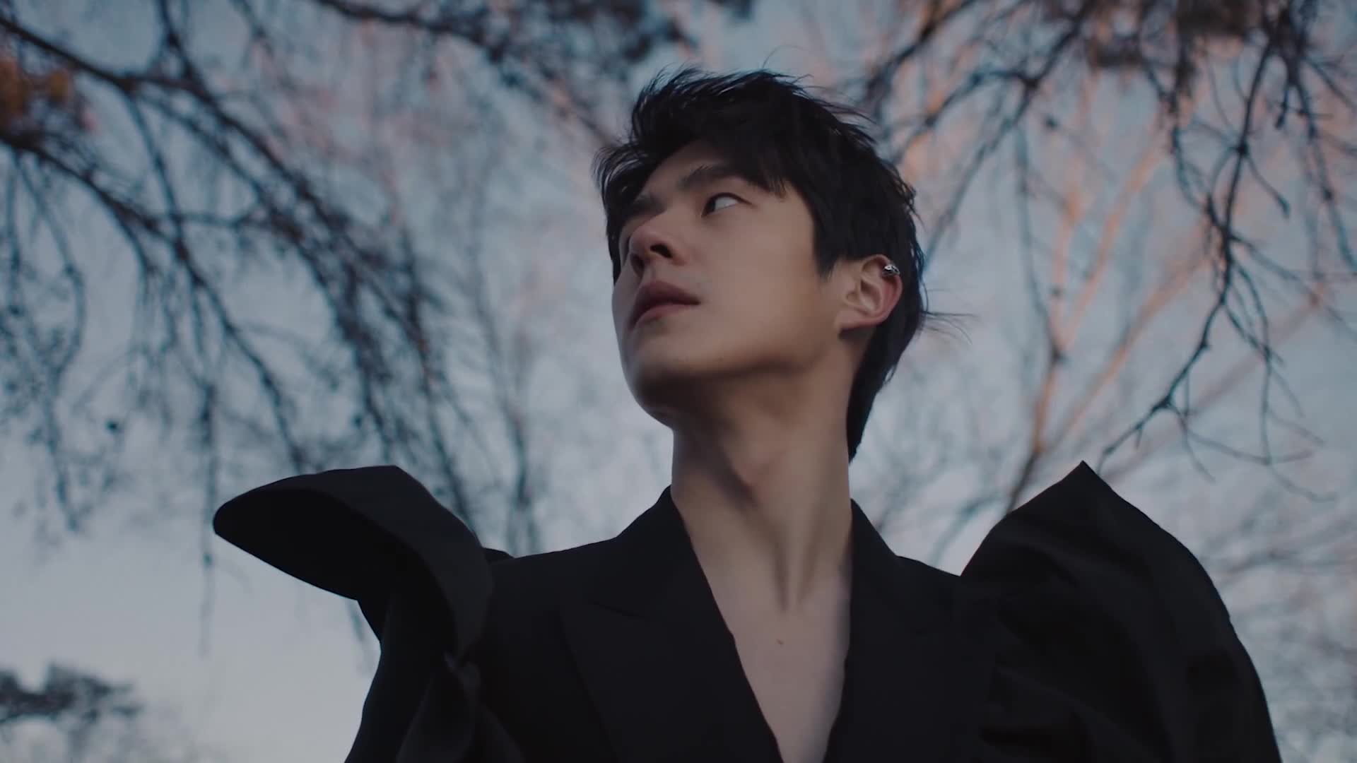 刘昊然alexandermcqueen2022春夏大片